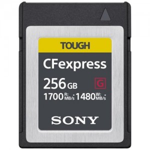 Карта памяти Sony CFexpress Type B 256Gb (CEB-G256)  (13482)